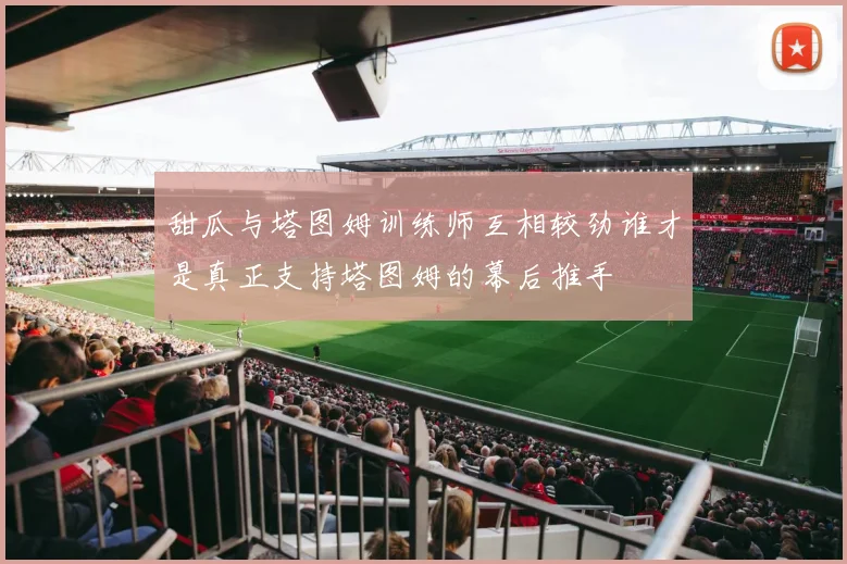 甜瓜与塔图姆训练师互相较劲谁才是真正支持塔图姆的幕后推手