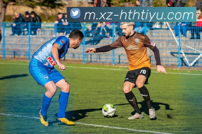 App Interface Preview